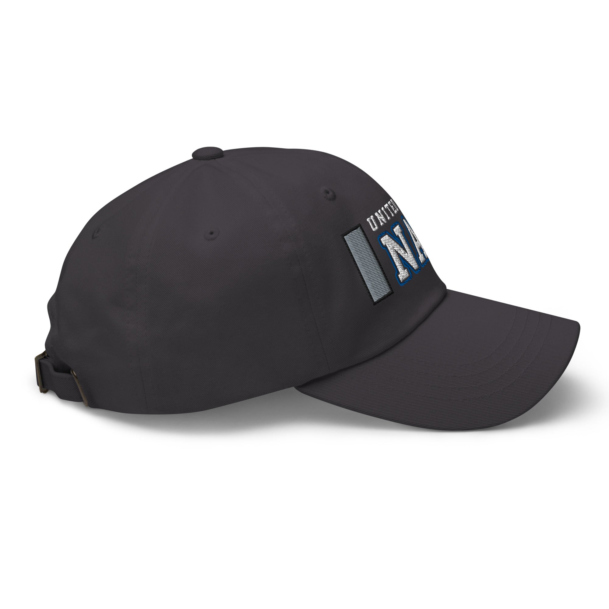 US Navy O-2 Lieutenant Junior Grade O2 LTJG Junior Officer Ranks/Insignia Embroidered Dad Hat